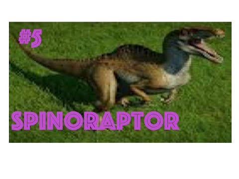 Dr Wu's Hybrid Profiles Episode 5: Spinoraptor