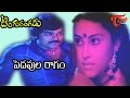 Tingu Rangadu Songs Pedavula Raagam Chiranjeevi Geetha