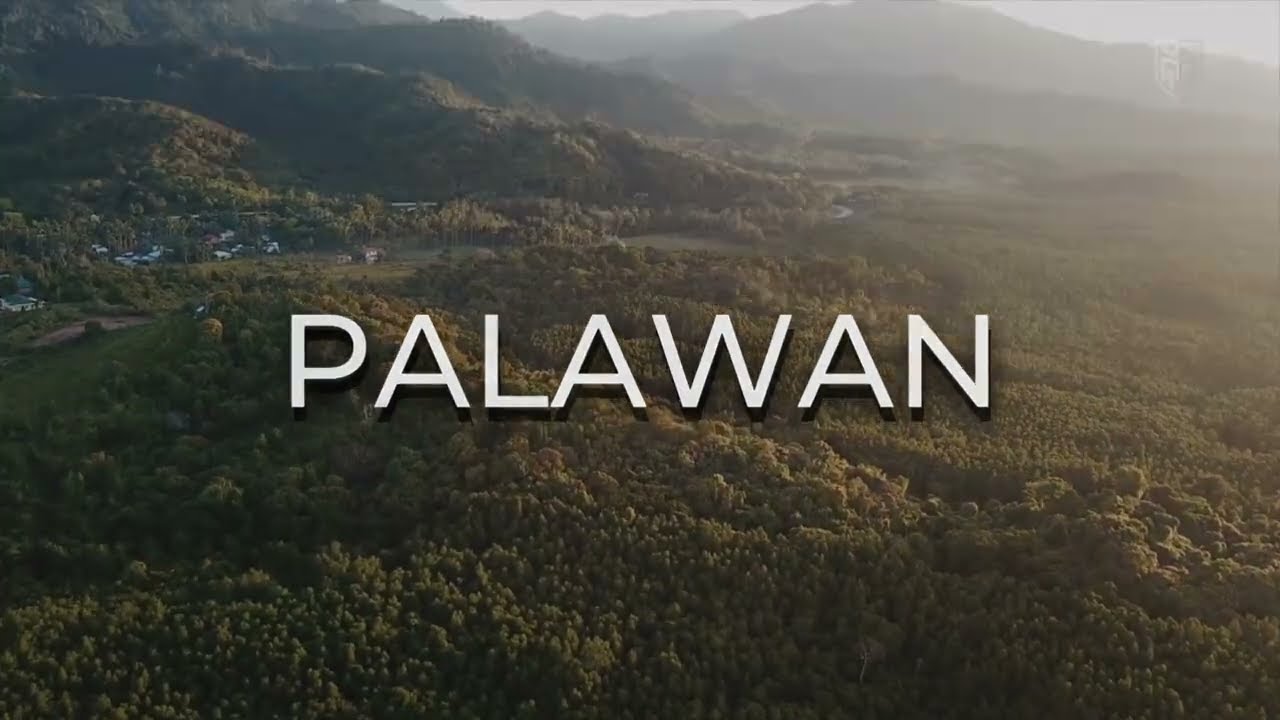 Palawan Ad