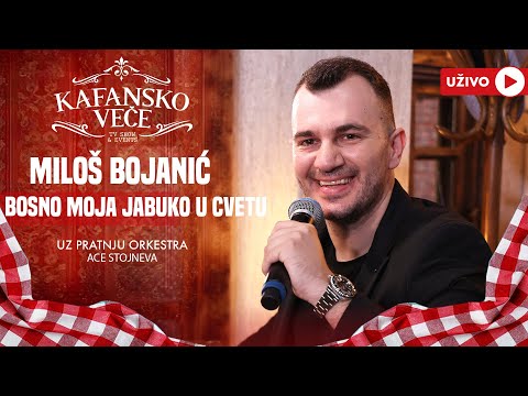 MILOS BRKIC - BOSNO MOJA JABUKO U CVETU | UZIVO | ORK ACE STOJNEVA | 2024 | KAFANSKO VECE