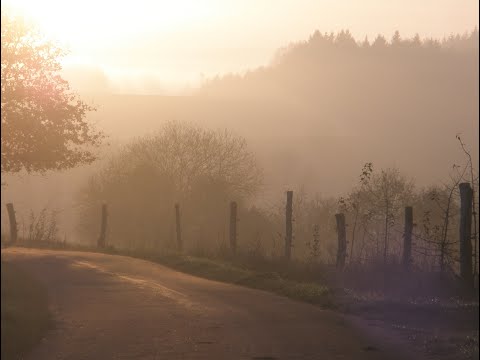 Wanderung über die Felder und Wiesen | 66709 Weiskirchen | Hochwald