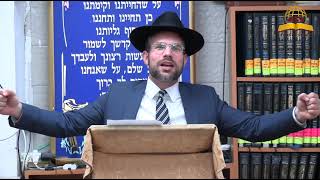 מעלת הדקדוק בברכת המזון - הרב אריה שיינפלד (קו ההלכה הספרדי) - התמונה מוצגת ישירות מתוך אתר האינטרנט יוטיוב. זכויות היוצרים בתמונה שייכות ליוצרה. קישור קרדיט למקור התוכן נמצא בתוך דף הסרטון מעלת הדקדוק בברכת המזון - הרב אריה שיינפלד (קו ההלכה הספרדי) - התמונה מוצגת ישירות מתוך אתר האינטרנט יוטיוב. זכויות היוצרים בתמונה שייכות ליוצרה. קישור קרדיט למקור התוכן נמצא בתוך דף הסרטון