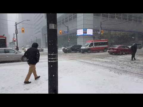Heavy Snow in Toronto - February 27, 2019
