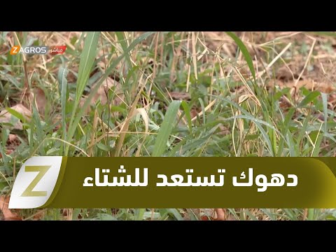 فيديو | #دهوك.. مديرية البستنة في #كوردستان تستقبل موسم الشتاء باجراءات احترازية