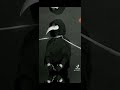 Deku As Scp 049 Abused Bullied Au