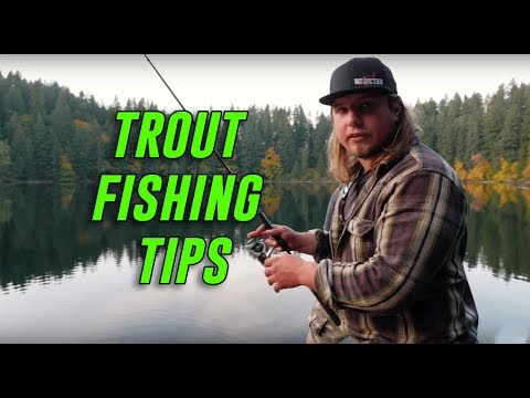 How To Catch Trout On Powerbait In Lakes And Ponds 🐟