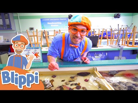 Blippi Visits a Zoo & Aquarium! | Learn Zoo Animals for Kids | Educational Videos for Toddlers