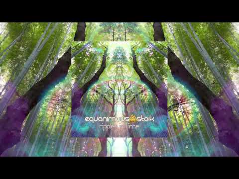Metamorphosis - Equanimous & Stoik