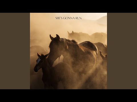 She's Gonna Run (Acoustic Version)