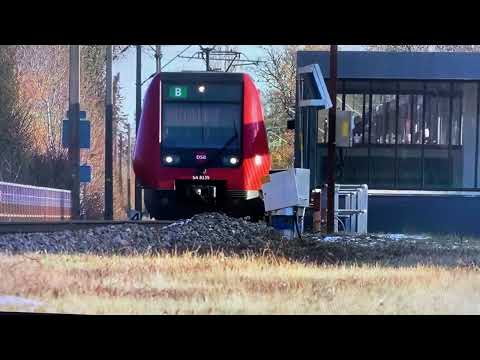 The Sponge King Part 15 Twilight Chased Manny/ The Reunion 