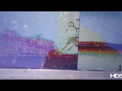 Testing up of a Lowrance HDS Carbon 16" paired with TM185H wide