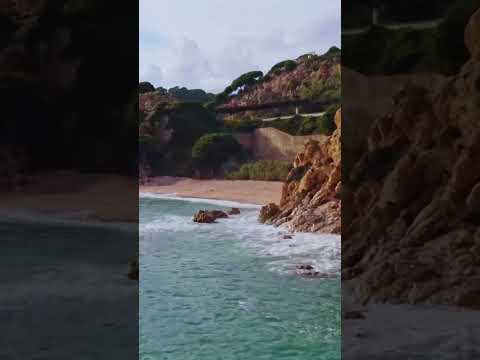 "Prayer Before Eating – Bless Your Food & Cancel Every Evil Assignment!" #P #deliveranceprayer#heal