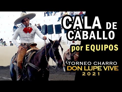 CALA DE CABALLO los mejores arriba de 45 pts por Equipos - Torneo Don Lupe Vive 2021