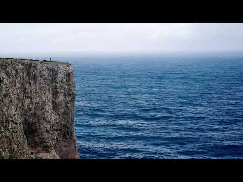 Daminika - On The Coastline