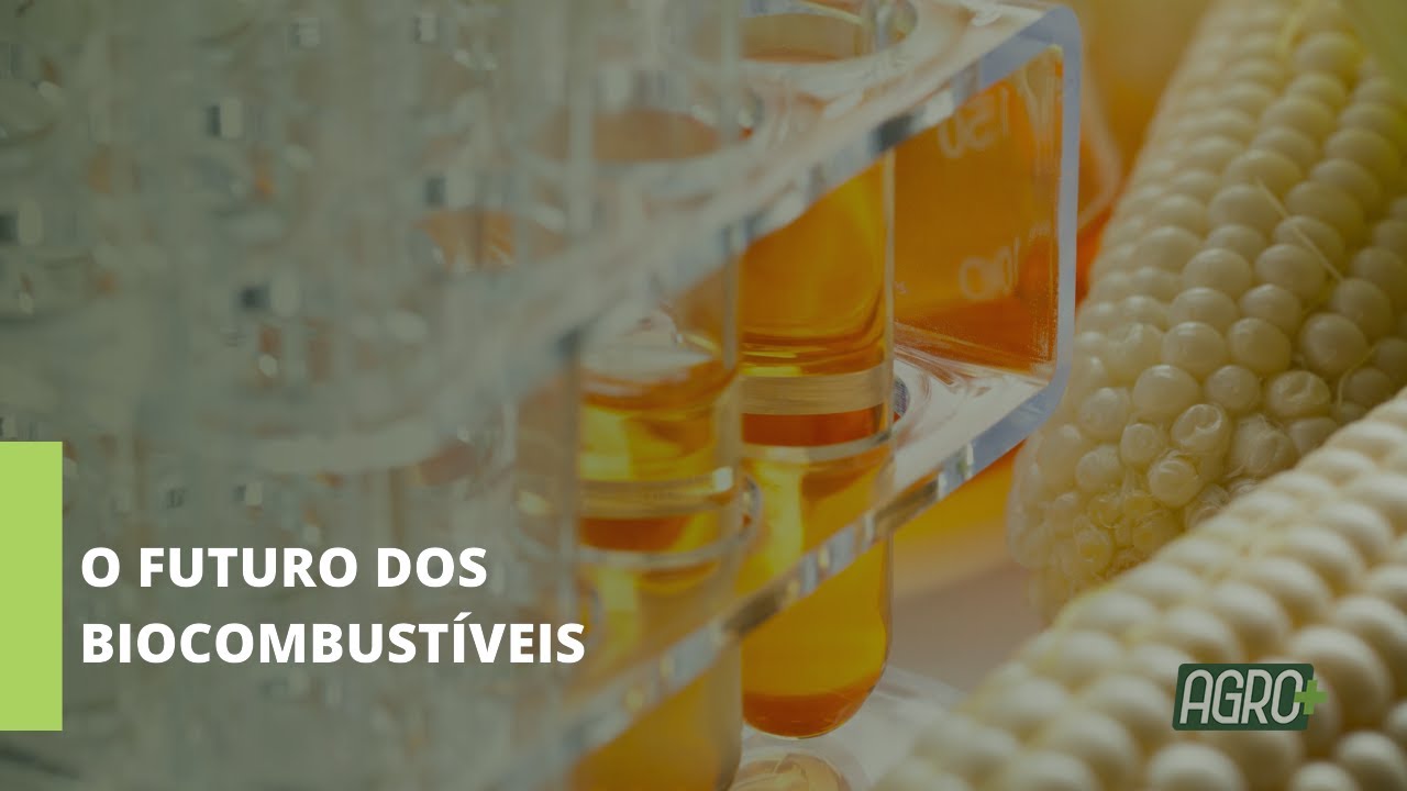 Produção de biodiesel contribui para geração de empregos e crescimento da economia