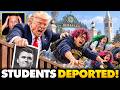 Foreign Libtard Students Who Celebrate Charlie Kirk Murder Mass DEPORTED! Scream and Cry At Airport