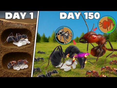 Simulating two Ant colonies for 150 Days 😱 ANTTREK
