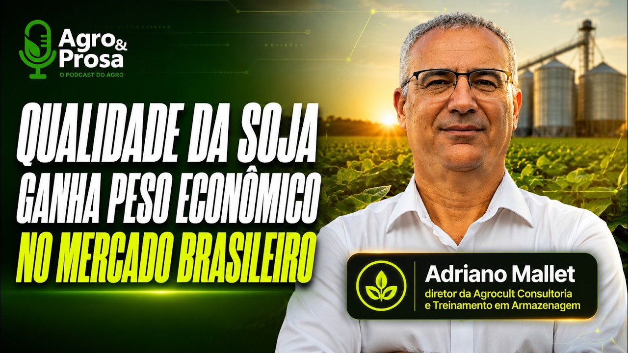 Qualidade da soja ganha peso econômico no mercado brasileiro