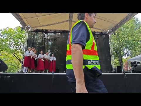 Újbudai Babszem Széki tánc