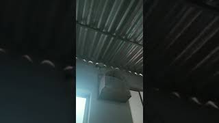 CURIÓ MENTOR