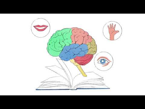 Mózg - nasze centrum dowodzenia