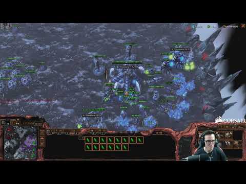 ZvP Roach Queen SH Style - PiG's Weekly Build