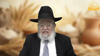 דף היומי בחצי שעה – מסכת מנחות דף נ”ה