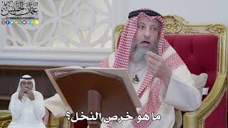 859 - ما هو خرص النخل؟ - عثمان الخميس
