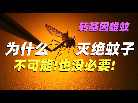 , title : '虽然人有一万个杀死它的理由和方法 但蚊子的一生实在是太强了|Why GM mosquitoes can't extinct  mosquitoes'