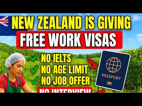 No Interview,  No Job Offer, No IELTS! Move To New Zealand🇳🇿