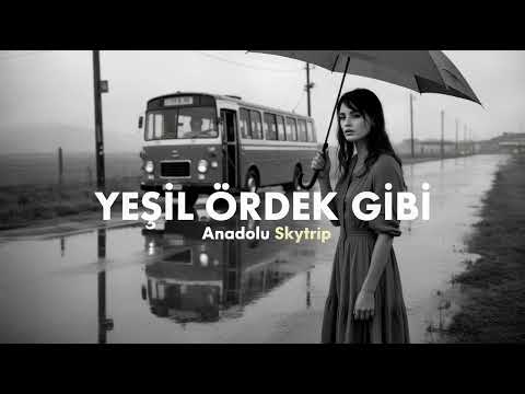Yeşil Ördek Gibi | Anadolu Skytrip (High Quality Hi-Fi Psychedelic Rock Cover)