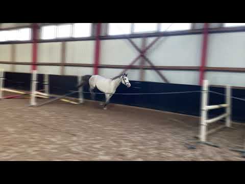 2020.11.22 Free jump