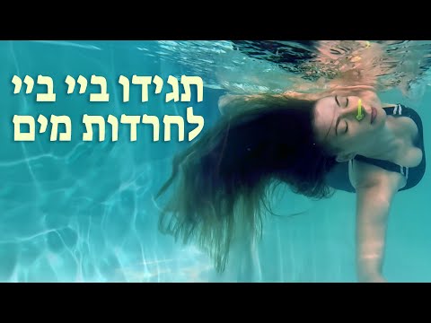 הצגת השיטה
