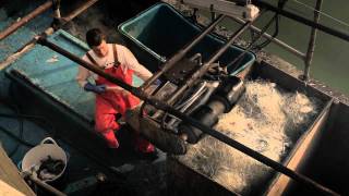 'Corner Of An Eye' by Christine Tobin