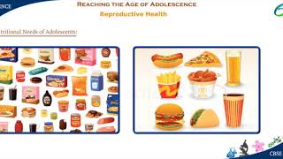 Reaching The Age of Adolescence- Reproductive Health
