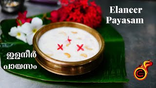 Tender Coconut Payasam | ഇളനീർ പായസം | Elaneer Payasam |Karikku Payasam | കരിക്കു പായസം |Ep:916