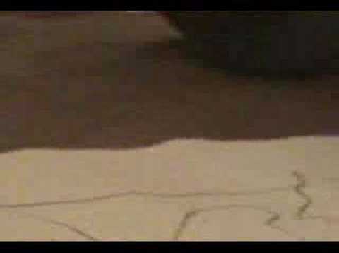 performance a painter and violin artist