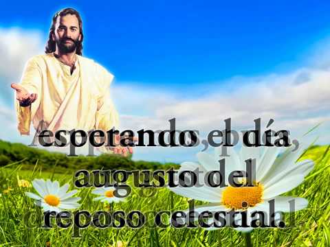 538   Hoy es día de Reposo