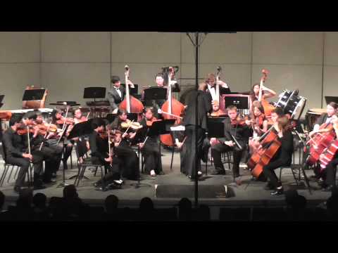 SDSMI 2014 String Orchestra Concert 1/4