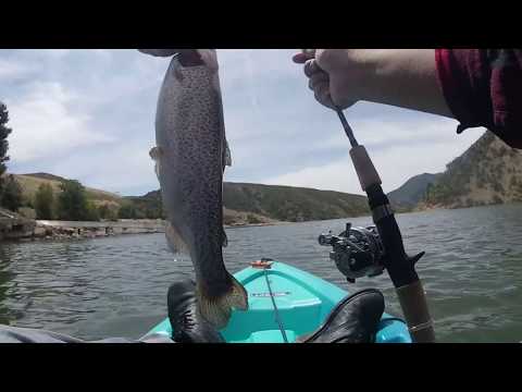Pyramid Lake Trout Plant Limit Caught ( S O - C A L ✰ F I S H I N G )