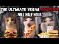 CAT MEMES THE ULTIMATE FAMILY ROADTRIP HALF HOUR COMPILATION