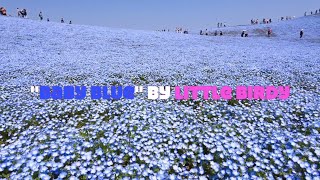 &quot;Baby Blue&quot; by Little Birdy - with LYRICS