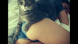 Funny Cat Compilation (Funny Cat fails) - Daily Do