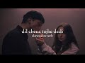 Dil Cheez Tujhe Dedi Slowed Reverb