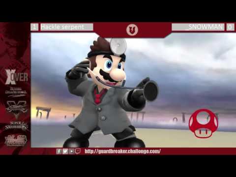 Smash 4: X-Over - Hackle Serpent (Dr. Mario) vs SNOWMAN (Villager, Wario)