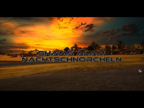 Shams Alam Beach Resort - Nachtschnorcheln