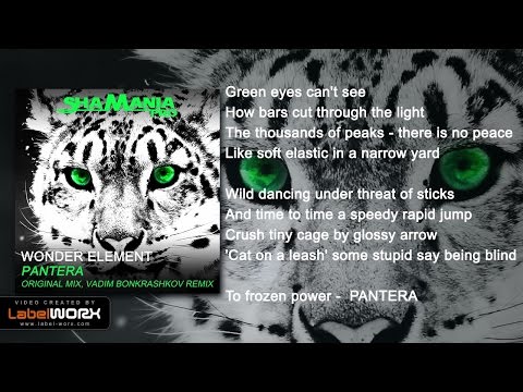 Wonder Element - Pantera (Vadim Bonkrashkov Remix)