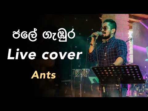 Jale Gambura (ජලේ ගැඹුර​) live cover at a wedding. Ants Band Srilanka