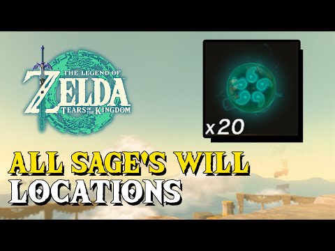 Zelda Tears Of The Kingdom All 20 Sage's Will Locations