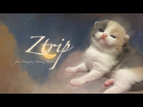 Z TRIP feat. MIXSJAY x VARINZ x PONCHET - นวลนาง【Official Audio】